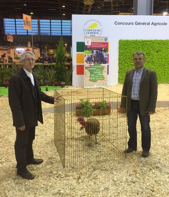 Jean-Michel Devresse et Cyriaque Godefroy au côté de leur dinde rouge des Ardennes
Salon de l'Agriculture 2016. 