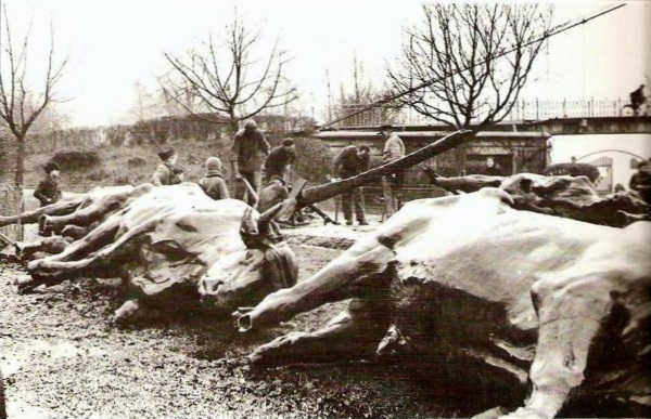 Démentèlement de la statue