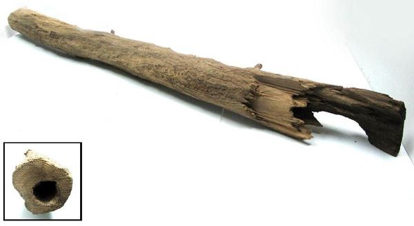 Ancien tuyau en bois