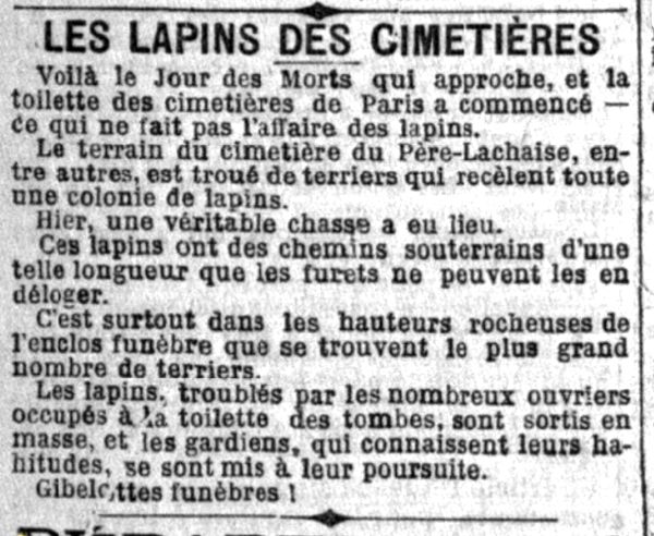 Entrefilet Le Petit Parisien Mardi 30 octobre 1888
Les lapins des cimetières